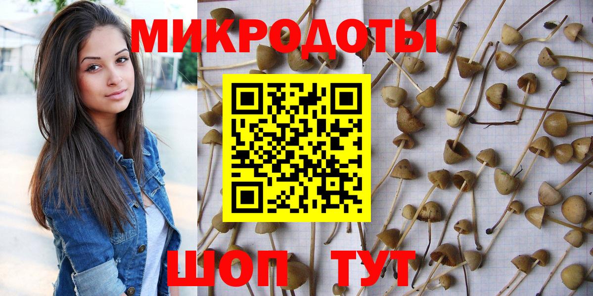 Галлюциногенные грибы MAGIC MUSHROOMS  Вход с VPN  Псилоцибиновые грибы мухоморы  Холмск 