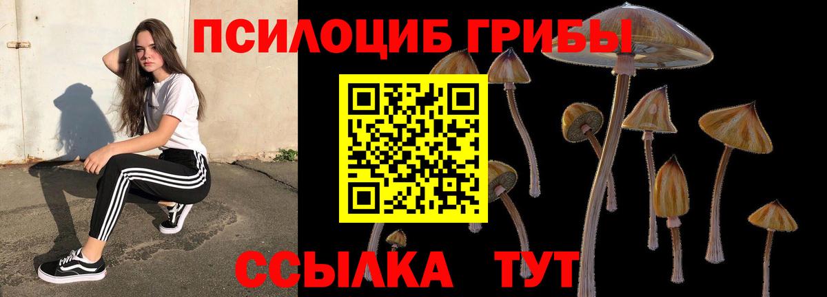 Псилоцибиновые грибы прущие грибы Холмск